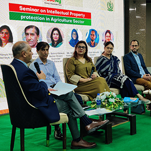 Panel Discussion on the Intersection of Intellectual Property, Agriculture, and Food Security held in Karachi